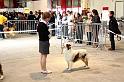 IMG_0127