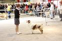 IMG_0137