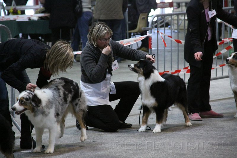 IMG_0175.JPG