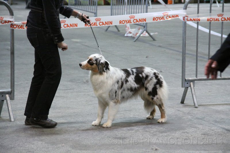 IMG_0291.JPG