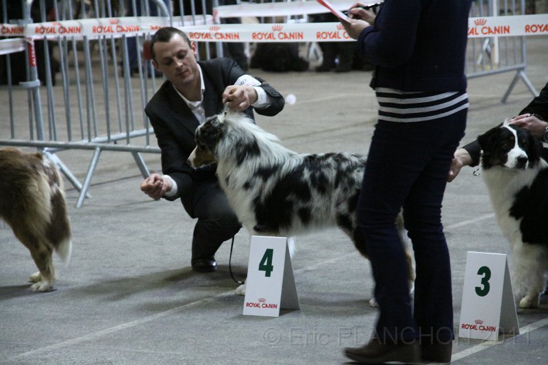 IMG_0474.JPG