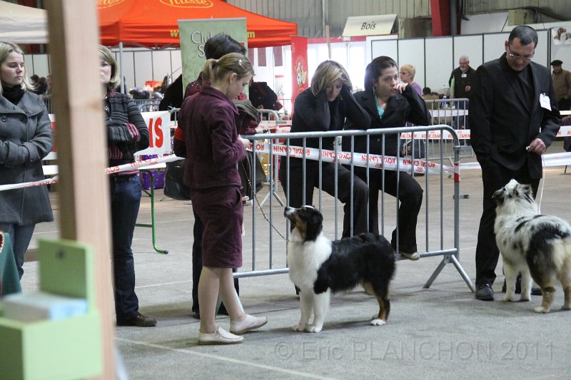 IMG_0546.JPG
