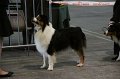 IMG_0001