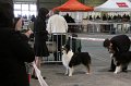IMG_0003