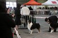 IMG_0004
