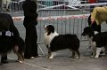 IMG_0007