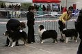 IMG_0009
