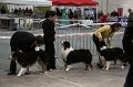 IMG_0011