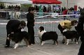 IMG_0012