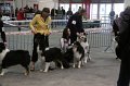 IMG_0013