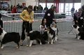 IMG_0014