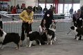 IMG_0015