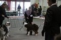 IMG_0018