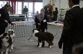IMG_0019