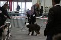 IMG_0020