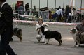 IMG_0025
