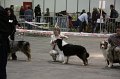 IMG_0026