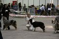 IMG_0027