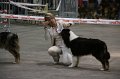 IMG_0028
