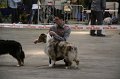 IMG_0031
