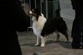 IMG_0037