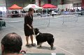 IMG_0038