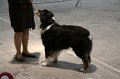 IMG_0041