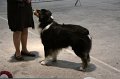 IMG_0042