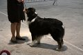 IMG_0044