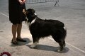IMG_0045