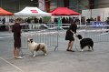 IMG_0046