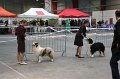 IMG_0047