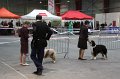 IMG_0048