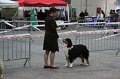 IMG_0053