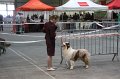 IMG_0054