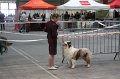 IMG_0055