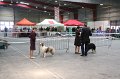 IMG_0057