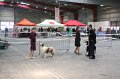 IMG_0059