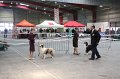 IMG_0060