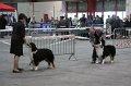 IMG_0061