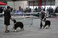 IMG_0062