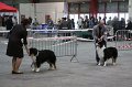 IMG_0065