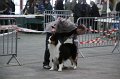 IMG_0066