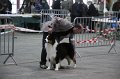 IMG_0067
