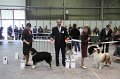 IMG_0075