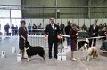 IMG_0080