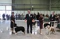 IMG_0081