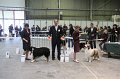IMG_0087