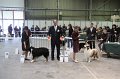 IMG_0088