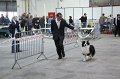 IMG_0098